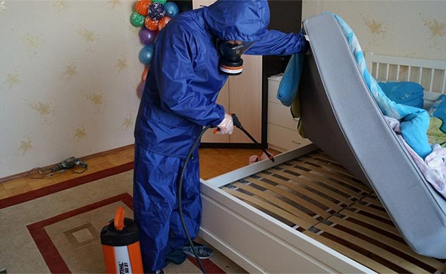 дезинфекция дома