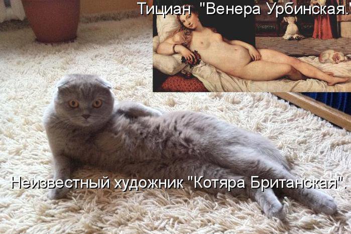 кот венера милосская