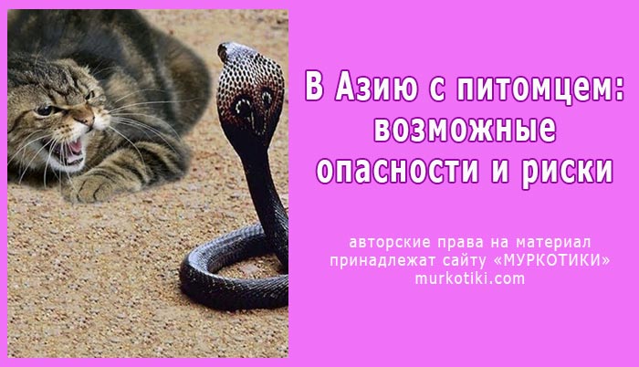 опасности для животных в азии